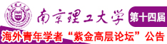 粗黑弄穴视频南京理工大学第十四届海外青年学者紫金论坛诚邀海内外英才！